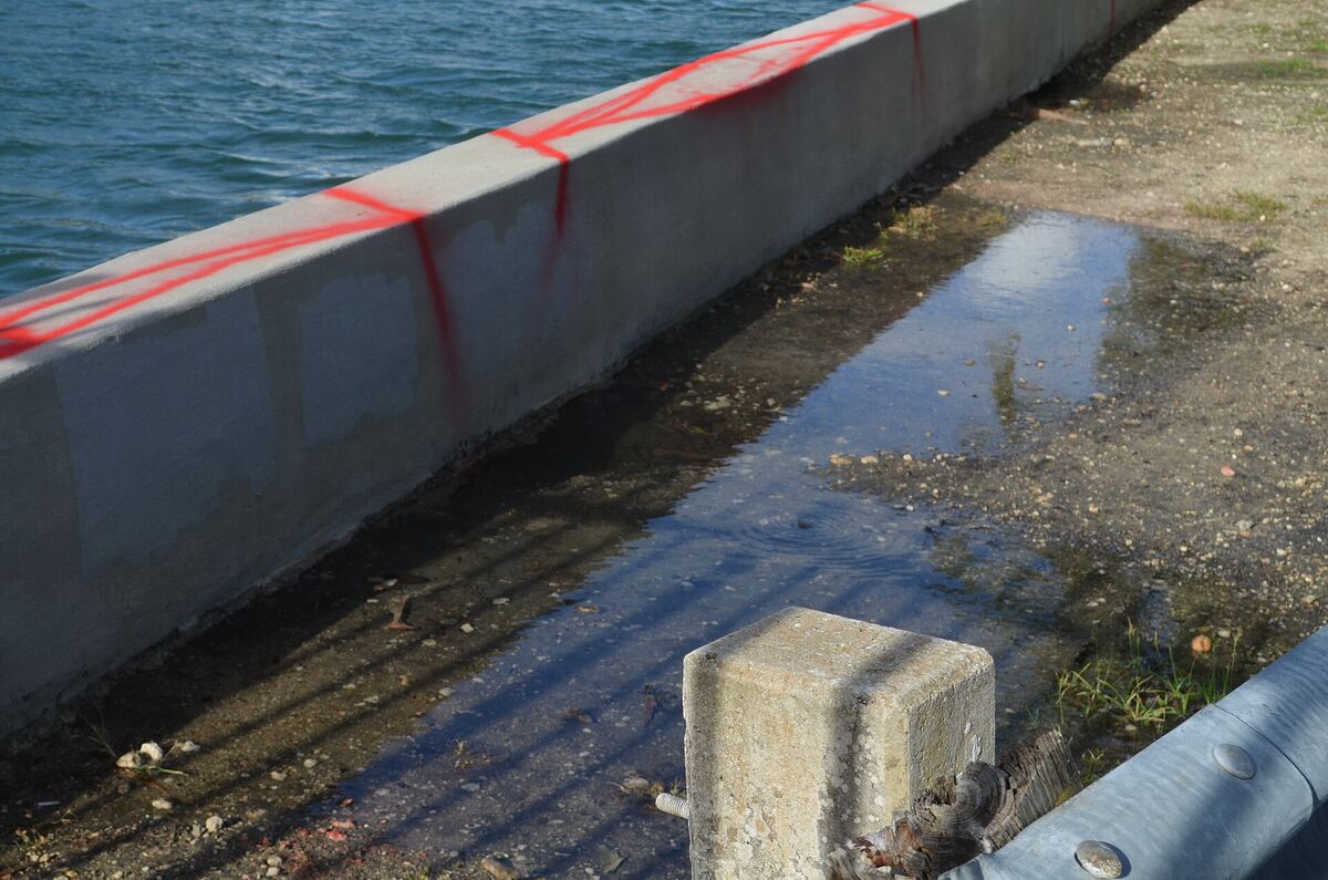 Acqua di mare che ristagna sul lato interno di un muro di contenimento in cemento a Miami Beach durante l'alta marea